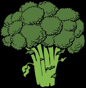 brokkoli-gezeichnet